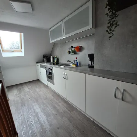 Rosa * Wilhelmshaven